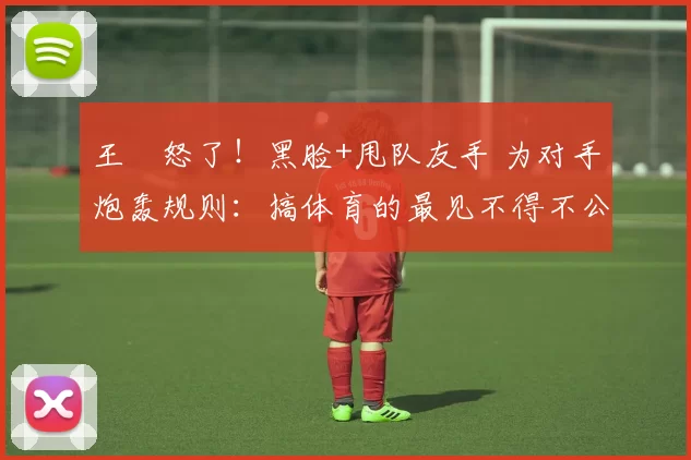 王濛怒了！黑脸+甩队友手 为对手炮轰规则：搞体育的最见不得不公