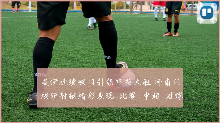 盖伊连续破门引领申花大胜 河南门线铲射献精彩表现_比赛_中超_进球