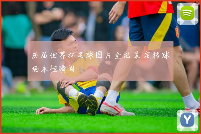 历届世界杯足球图片全记录 定格球场永恒瞬间