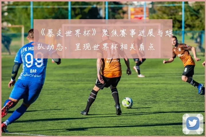 《暴走世界杯》聚焦赛事进展与球队动态,呈现世界杯相关看点